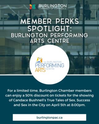 Snuggle Bugz - Burlington Chamber of Commerce Award 